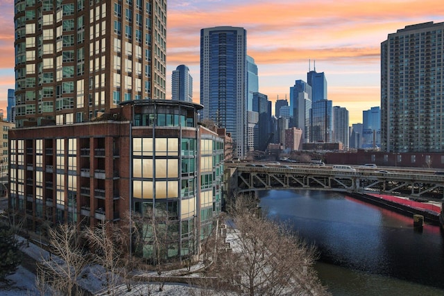 600 N Kingsbury Ave Unit 506, Chicago, IL 60610 - skyline view featuring a notable bridge and a large body of water