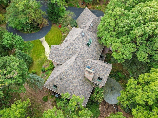 38W250 Burr Road Ln, Saint Charles, IL 60175 - view from above of property