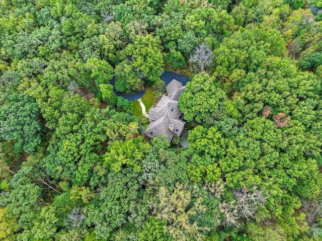 38W250 Burr Road Ln, Saint Charles, IL 60175 - aerial view of property's location featuring a forest