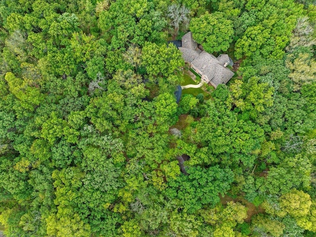 38W250 Burr Road Ln, Saint Charles, IL 60175 - aerial view of property's location