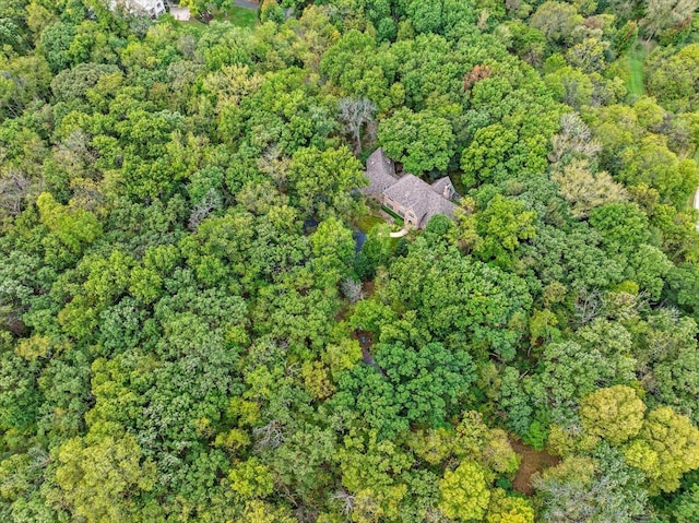 38W250 Burr Road Ln, Saint Charles, IL 60175 - aerial overview of property's location featuring a forest
