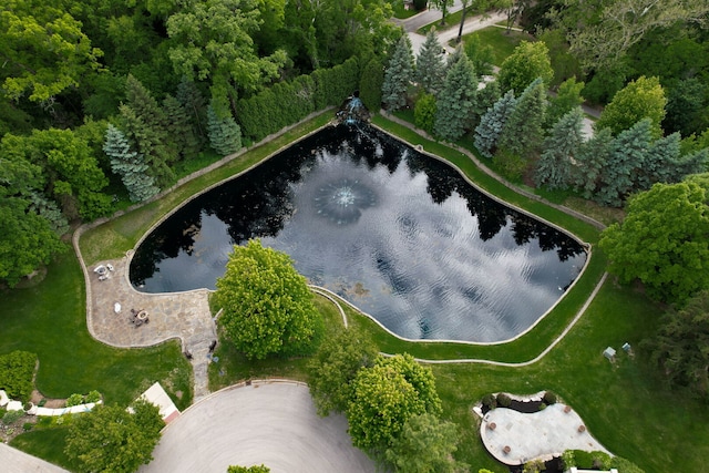 115 Carmela Ct, Bloomingdale, IL 60108 - aerial view of property's location with a large body of water