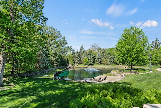 115 Carmela Ct, Bloomingdale, IL 60108 - view of green lawn featuring a view of trees