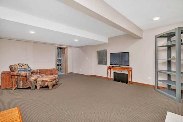 507 Cambridge Ln, Shorewood, IL 60404 - living area with carpet flooring and recessed lighting