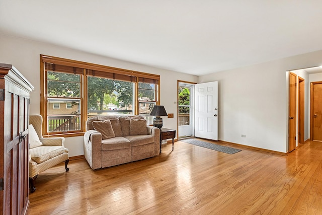 3918 213th Pl, Matteson, IL 60443 - living area with light wood-style flooring and baseboards