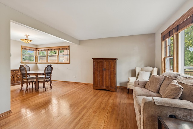3918 213th Pl, Matteson, IL 60443 - living room with healthy amount of natural light, light wood-type flooring, and baseboards