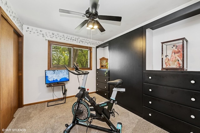 7404 Wooded Shore Dr, Wonder Lake, IL 60097 - workout area with carpet floors, a ceiling fan, and baseboards