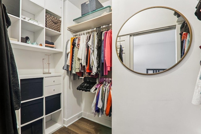3032 Kentshire Cir, Naperville, IL 60564 - spacious closet with wood finished floors