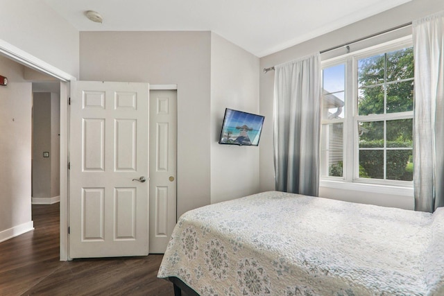 3032 Kentshire Cir, Naperville, IL 60564 - bedroom with dark wood-style floors and a closet