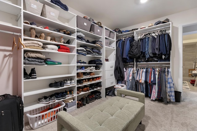 2034 Link Dr, Buffalo Grove, IL 60089 - walk in closet with carpet