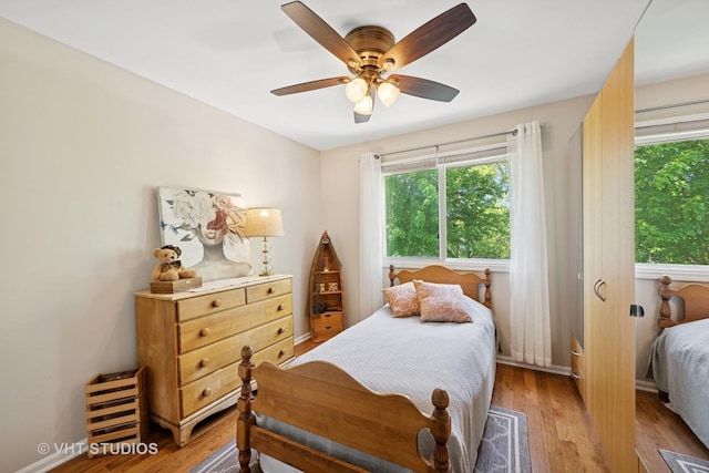 1149 Saddle Ridge Trl, Cary, IL 60013 - bedroom with multiple windows, light wood-type flooring, and ceiling fan