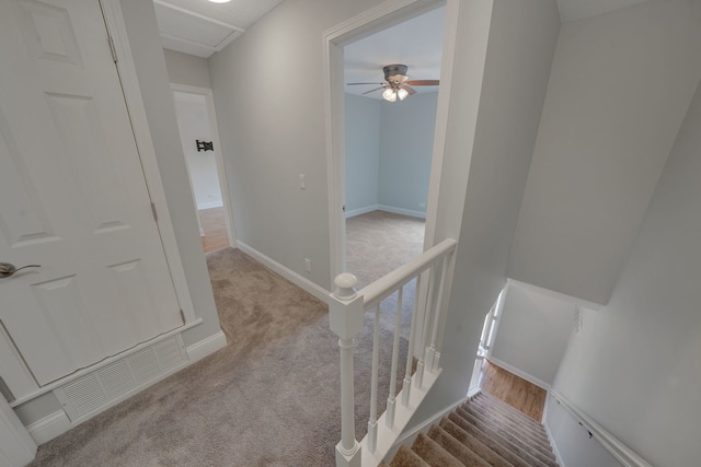 208 Spring Ct, Bloomingdale, IL 60108 - staircase with carpet flooring and ceiling fan
