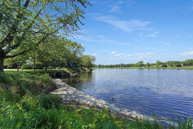 208 Spring Ct, Bloomingdale, IL 60108 - water view