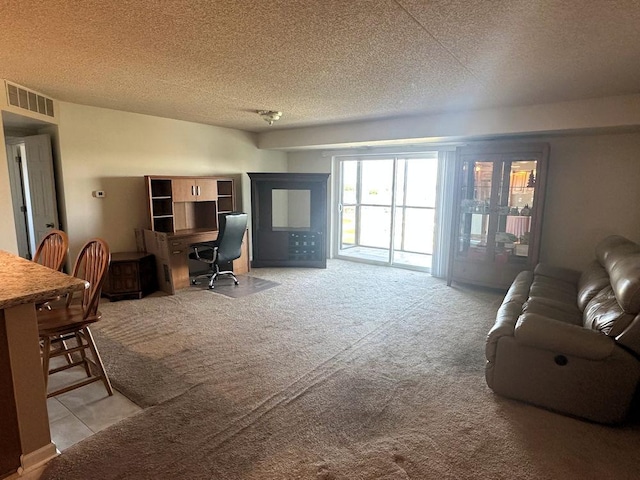 1133 N 7th St Unit 806, Rochelle, IL 61068 - living area featuring a desk, a textured ceiling, and light carpet