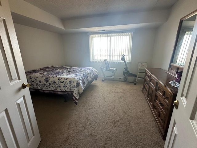 1133 N 7th St Unit 806, Rochelle, IL 61068 - bedroom with light carpet and a textured ceiling