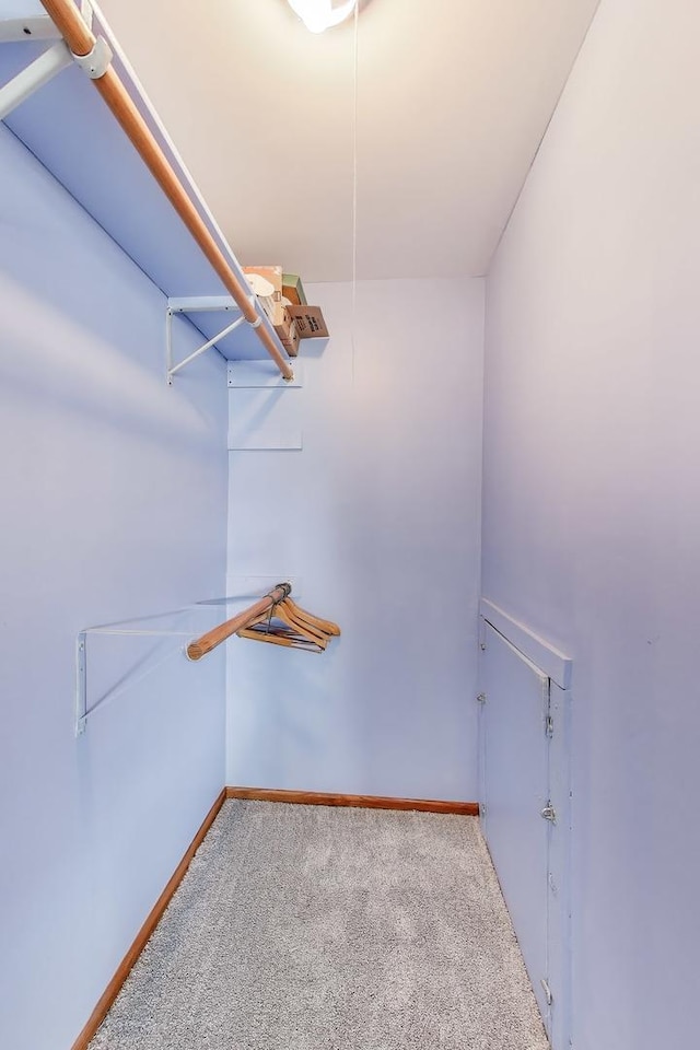 3205 Meadow Dr, Rolling Meadows, IL 60008 - walk in closet with carpet flooring