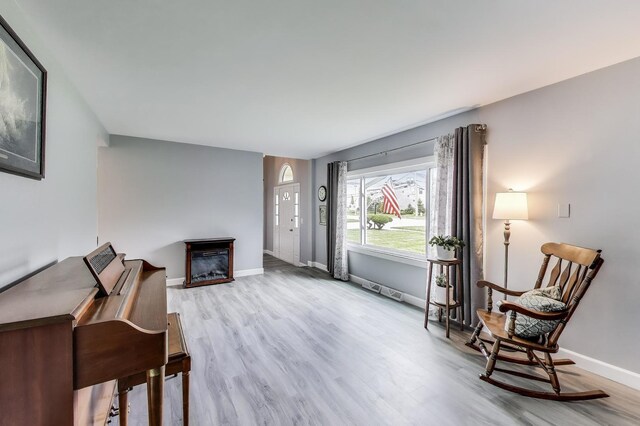 3205 Meadow Dr, Rolling Meadows, IL 60008 - sitting room with wood finished floors, baseboards, and a fireplace