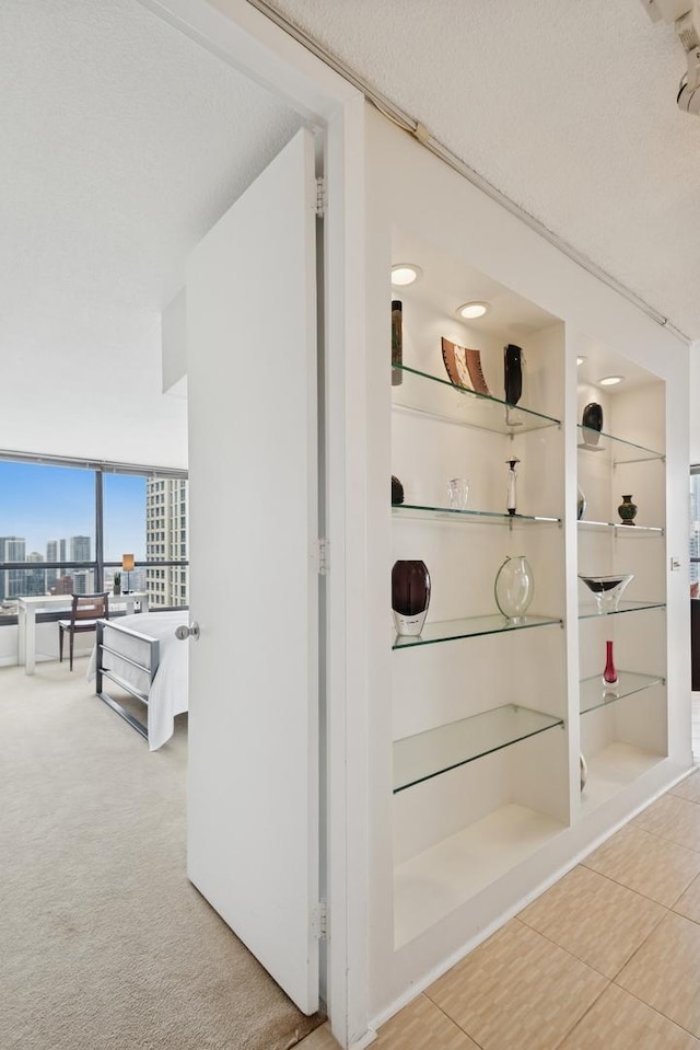 405 N Wabash Ave Unit 3103, Chicago, IL 60611 - view of closet