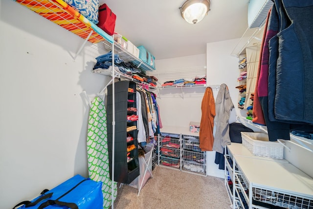 1282 Berkshire Ln, Grayslake, IL 60030 - spacious closet featuring carpet