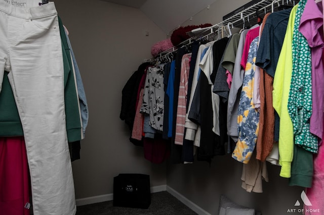 3365 Charlemaine Dr, Aurora, IL 60504 - spacious closet featuring carpet floors and vaulted ceiling