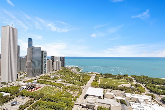 65 E Monroe St Unit 4208, Chicago, IL 60603 - photo 19