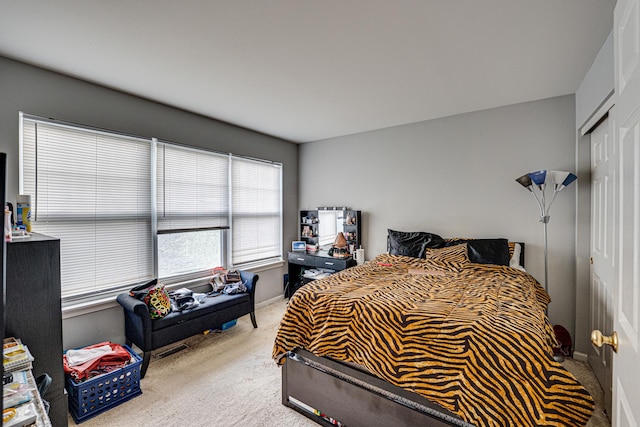 3379 Kentshire Cir, Aurora, IL 60504 - carpeted bedroom featuring a closet and baseboards