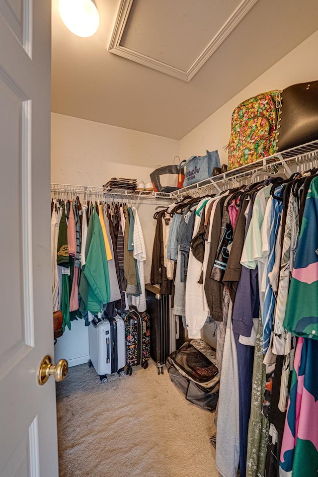 3379 Kentshire Cir, Aurora, IL 60504 - walk in closet featuring carpet floors