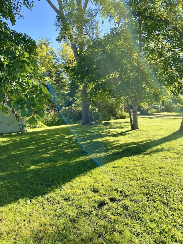 106 Dewey St, Harvard, IL 60033 - view of grassy yard