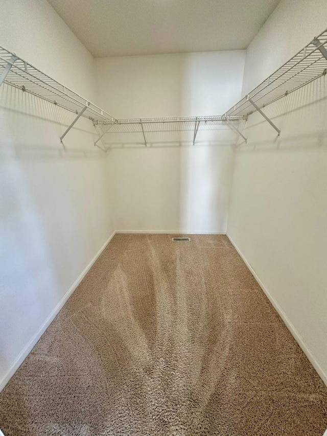 1458 Woodland Dr, South Elgin, IL 60177 - walk in closet featuring carpet floors