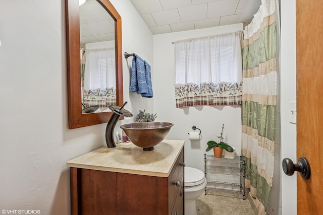 5513 Mulford St, Skokie, IL 60077 - bathroom featuring vanity, toilet, and a shower with shower curtain