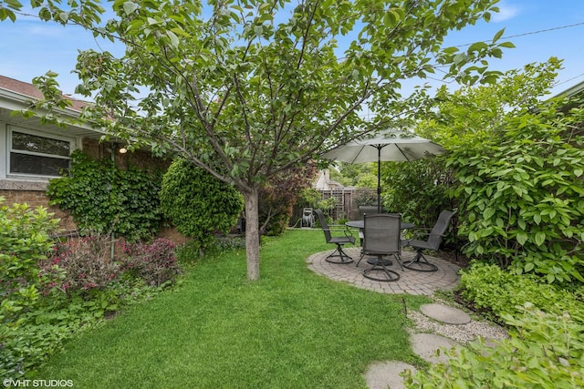 5513 Mulford St, Skokie, IL 60077 - view of yard featuring a patio