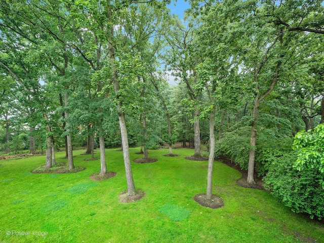 11315 77th St, Burr Ridge, IL 60527 - view of grassy yard