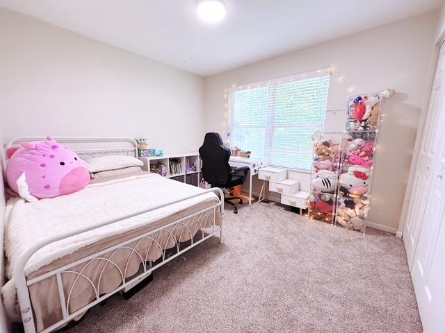 11319 Maplewood Dr, Plainfield, IL 60585 - view of carpeted bedroom
