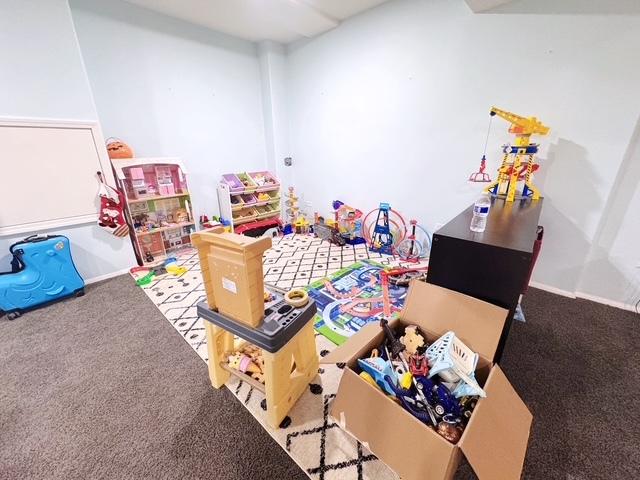 11319 Maplewood Dr, Plainfield, IL 60585 - playroom with carpet