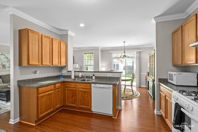 6N307 Whitmore Cir Unit A, Saint Charles, IL 60174 - kitchen with white appliances, a sink, a peninsula, dark wood-style flooring, and crown molding