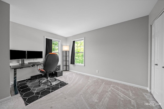 6N307 Whitmore Cir Unit A, Saint Charles, IL 60174 - office space with baseboards and carpet floors