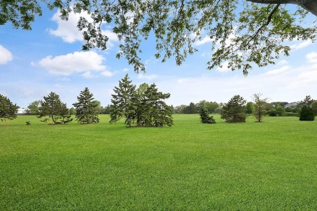 1537 Monarch Cir, Naperville, IL 60564 - view of grassy yard