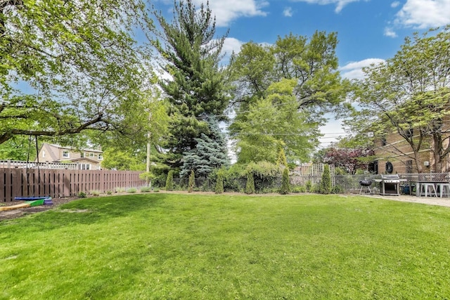 9906 S Saint Louis Ave, Evergreen Park, IL 60805 - view of yard