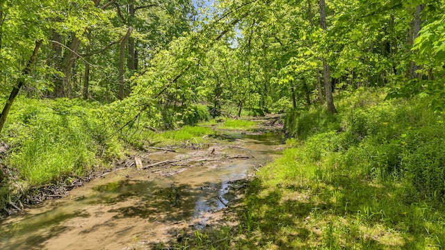 24721 S Walnut St, Crete, IL 60417 - view of wooded area