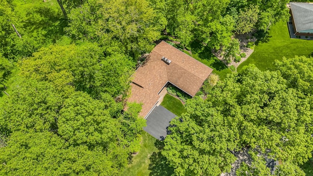24721 S Walnut St, Crete, IL 60417 - bird's eye view