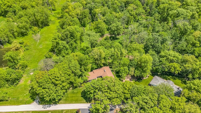 24721 S Walnut St, Crete, IL 60417 - drone / aerial view of a heavily wooded area