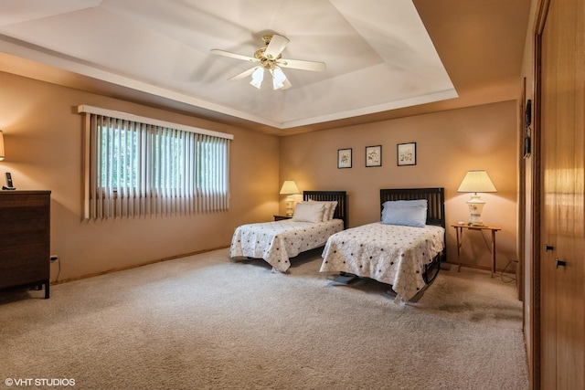 19510 Blyth Way, Mokena, IL 60448 - bedroom with a raised ceiling, carpet floors, baseboards, and ceiling fan