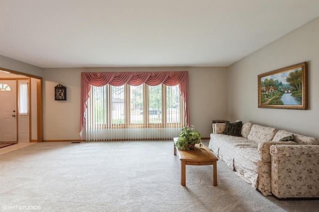 19510 Blyth Way, Mokena, IL 60448 - living room featuring carpet floors and baseboards