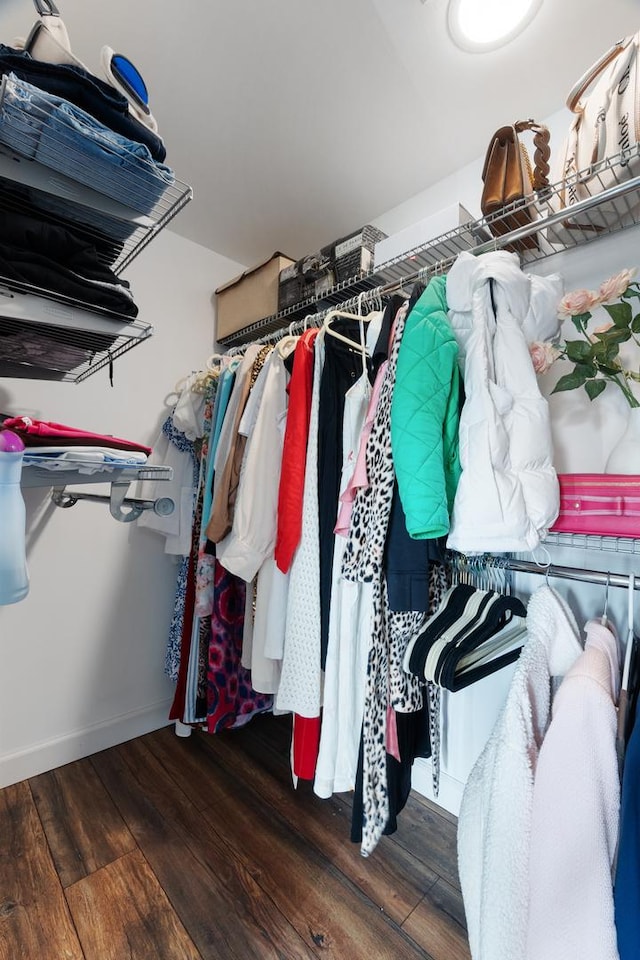 825 Center St Unit 302, Des Plaines, IL 60016 - spacious closet with wood finished floors