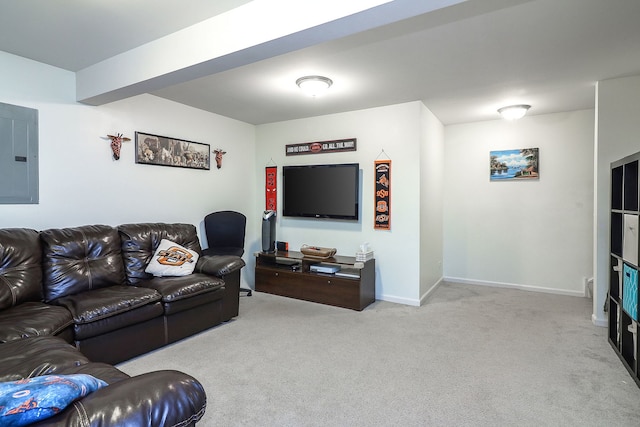 3601 Daisy Ln, Elgin, IL 60124 - carpeted living room with electric panel and baseboards