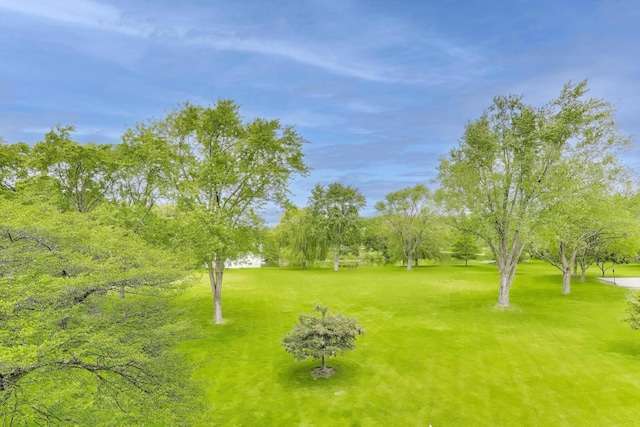 2700 E Bel Aire Dr Unit 202, Arlington Heights, IL 60004 - view of yard with view of wooded area