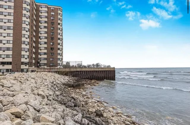 7337 S S Shore Dr Unit 216, Chicago, IL 60649 - water view