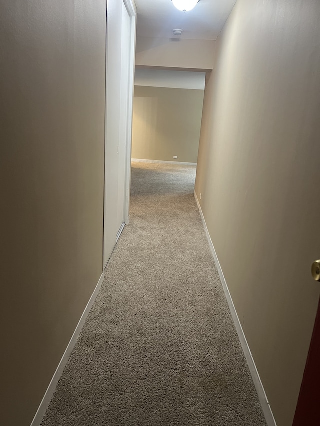 7337 S S Shore Dr Unit 216, Chicago, IL 60649 - hall with carpet floors and baseboards