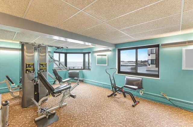 7337 S S Shore Dr Unit 216, Chicago, IL 60649 - exercise room with carpet flooring, a drop ceiling, and baseboards