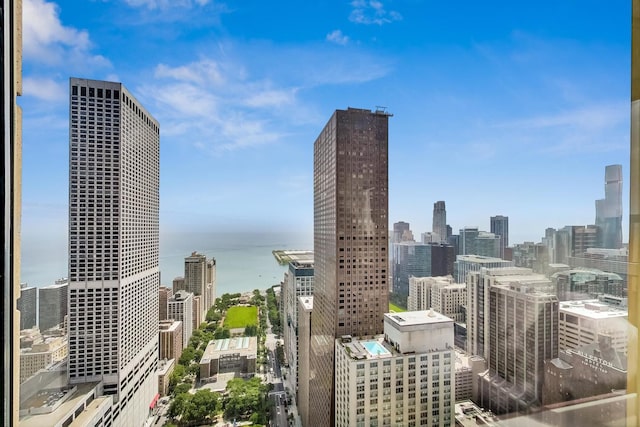 800 N Michigan Ave Unit 4801, Chicago, IL 60611 - skyline view with a large body of water